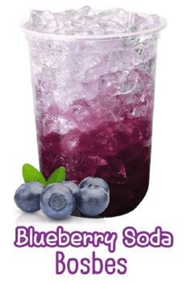 503 Italiaanse Soda Bosbes